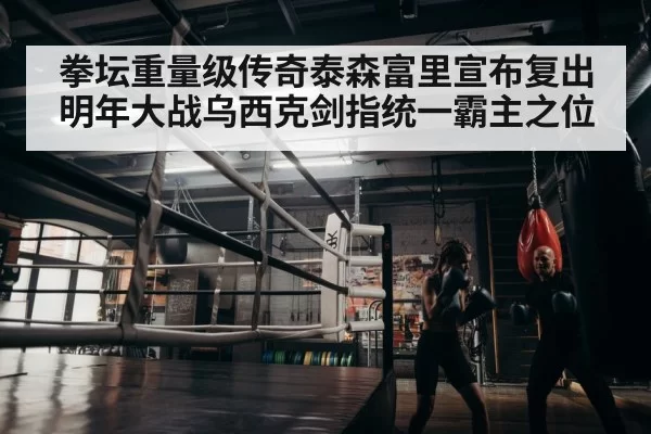 boxer training